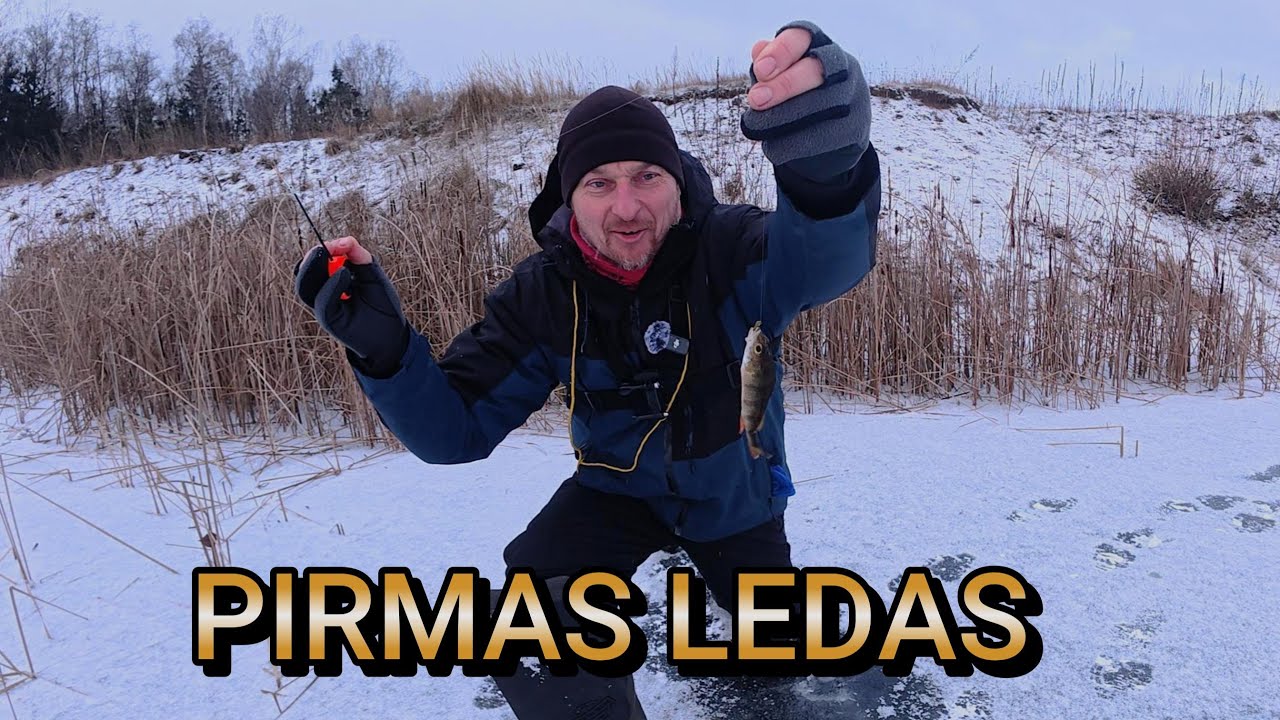 ANTRAS PIRMAS LEDAS 2025-2026! ŽŪKLĖ BEMASALĖM AVIŽĖLĖM. 2025 Gruodžio 30