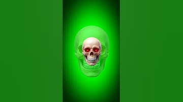 Skull Face Green Screen No Copyright | All Skull Troll Face Green Screen | Green Screen Skull Face