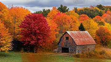 Beautiful Autumn Relaxing Music 🍁 Stop Overthinking & Find Inner Peace | Stress Relief Melodies