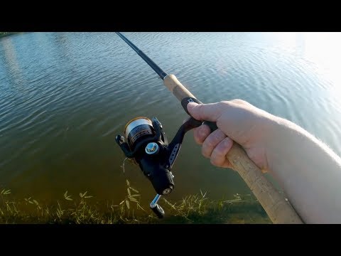 Катушка Daiwa Liberty 1500.