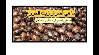 أضرار زيت الخروع - تعرف على أضرار زيت الخروع واضراره على الحامل