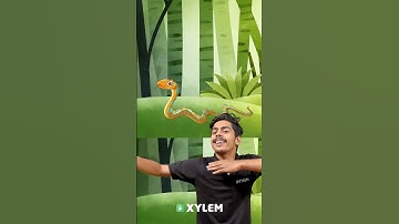 ഈ പാട്ട് നിങ്ങൾക്കറിയാമോ !!