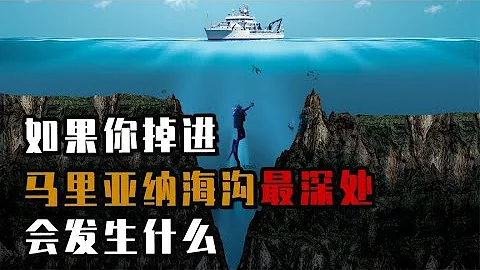 假如突然掉進馬里亞納海溝最深處，會發生什麼？帶你走進真實場景 - 天天要聞