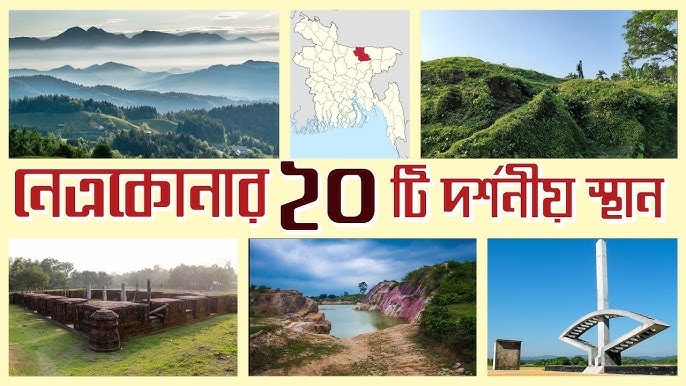 Bir qin, ikkita xoroz