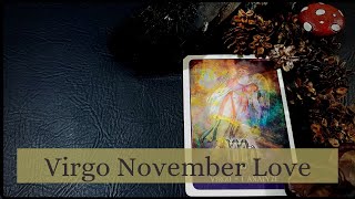 VIRGO : So Much Abundance, You are Growing FAST! : LOVE NOVEMBER 2020