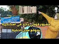 ازالة سجن الحضرة في اسكندريه وعلاقته بمترو اسكندريه ازالة سجن الحضرة في اسكندريه وعلاقته بمترو اسكندريه