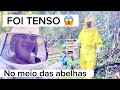 No meio das Abelhas 🐝 , @eliseteborgesyoutobe ,@apiariogallinati
