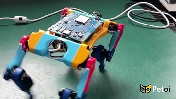 Create a Robo Canine: Unleash ESP32 Biboard