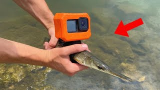 I Put My GOPRO on a FISH! Insane Footage!