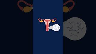 Cuáles Son Los Síntomas De La Candidiasis Vaginal?