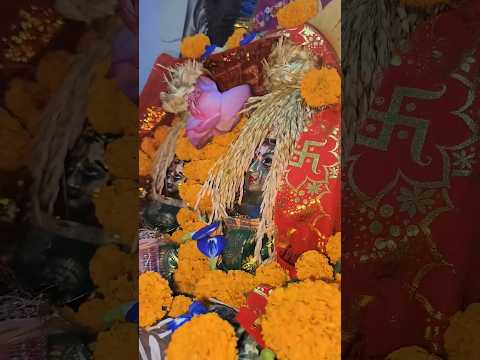 ମା ଲକ୍ଷ୍ମୀ ପୂଜା..🙏❤️🥹#maalaxmi #puja #maa #shortsviral #trendingshorts #ytshort #foryou #trending