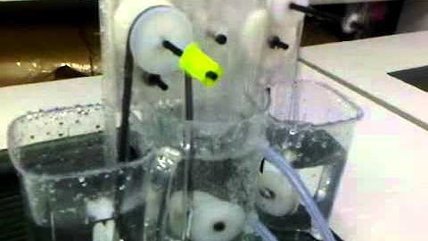 Shape memory alloy heat engine