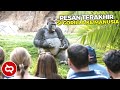 Ketika Hewan Berkomunikasi dengan Manusia, Begini Pesan Menyentuh dari Koko Gorilla..