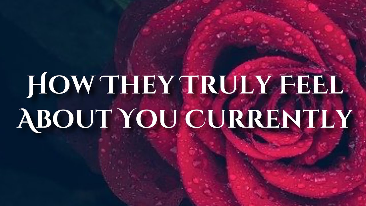 ✨They Intentionally Wronged You &Karma Kicked their Butt!! Now They’re Coming To Make Things Right✨