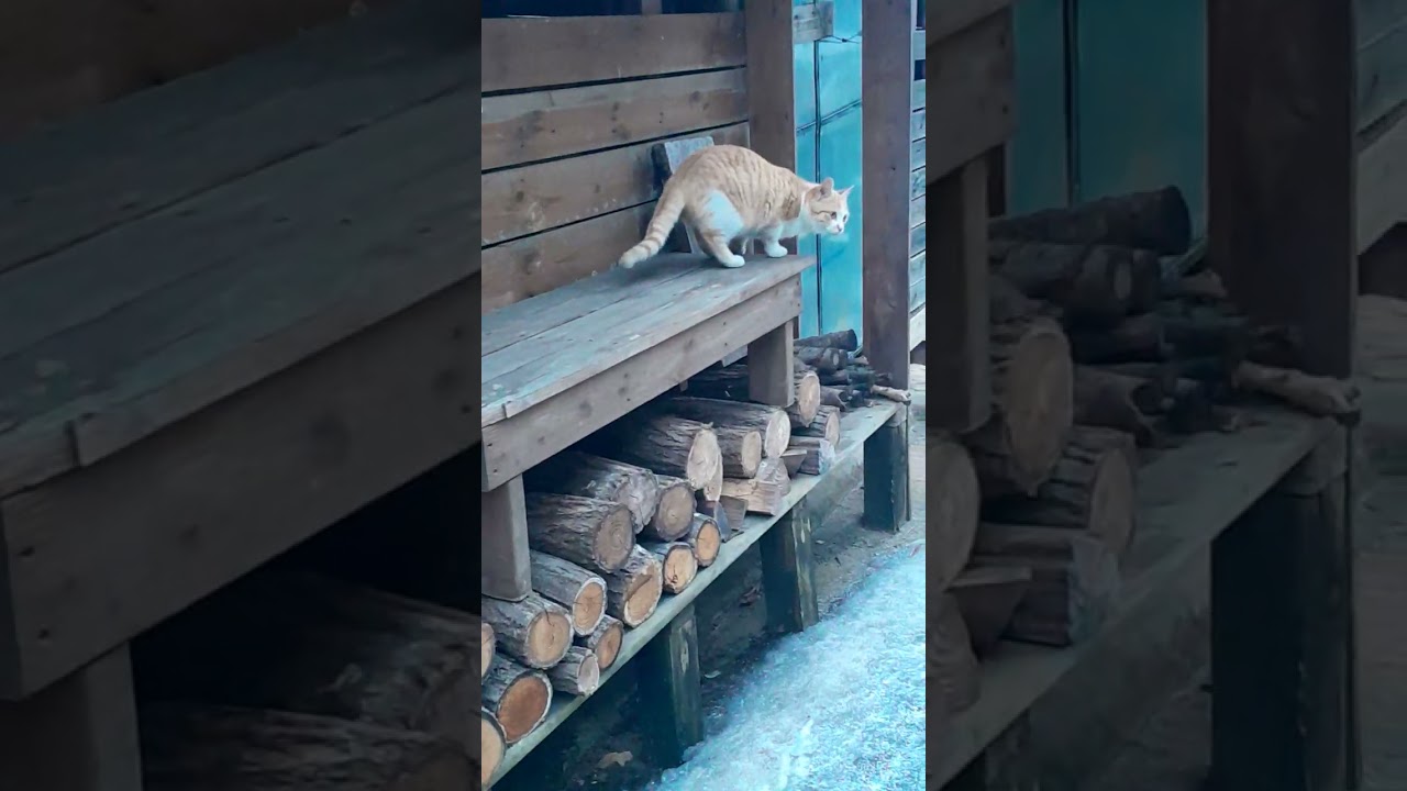 이 시간이 지나고 나면 봄은 올까요?