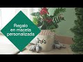 Decoidea: regalo en maceta personalizada - LEROY MERLIN