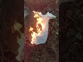 両ポケット蓋付き半袖スクール開襟シャツ燃え