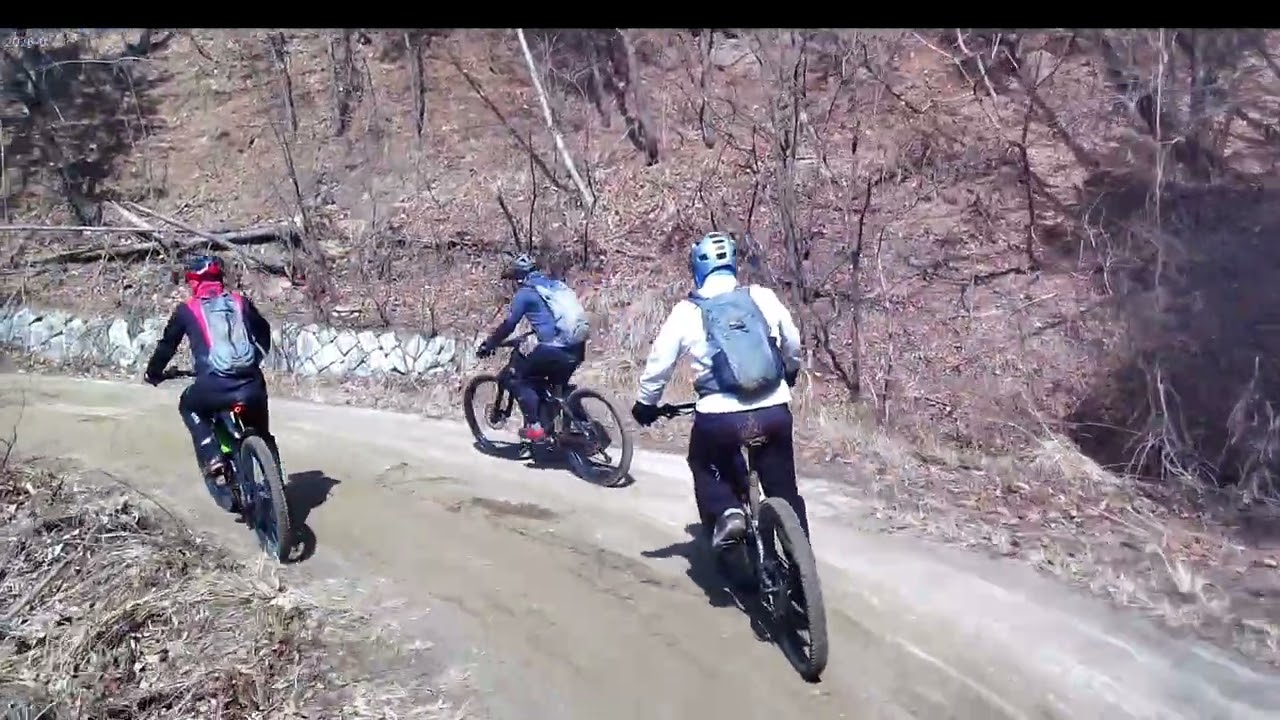 양평 양동임도(26 02 28)