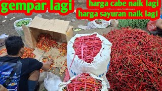 CHILI PRICES RISEN AGAIN TONIGHT #MANY VEGETABLES ARE DOWN #CIBITUNG MAIN MARKET #28 FEB 2026