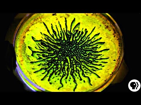 AMAZING! Ferrofluid + Glow Sticks