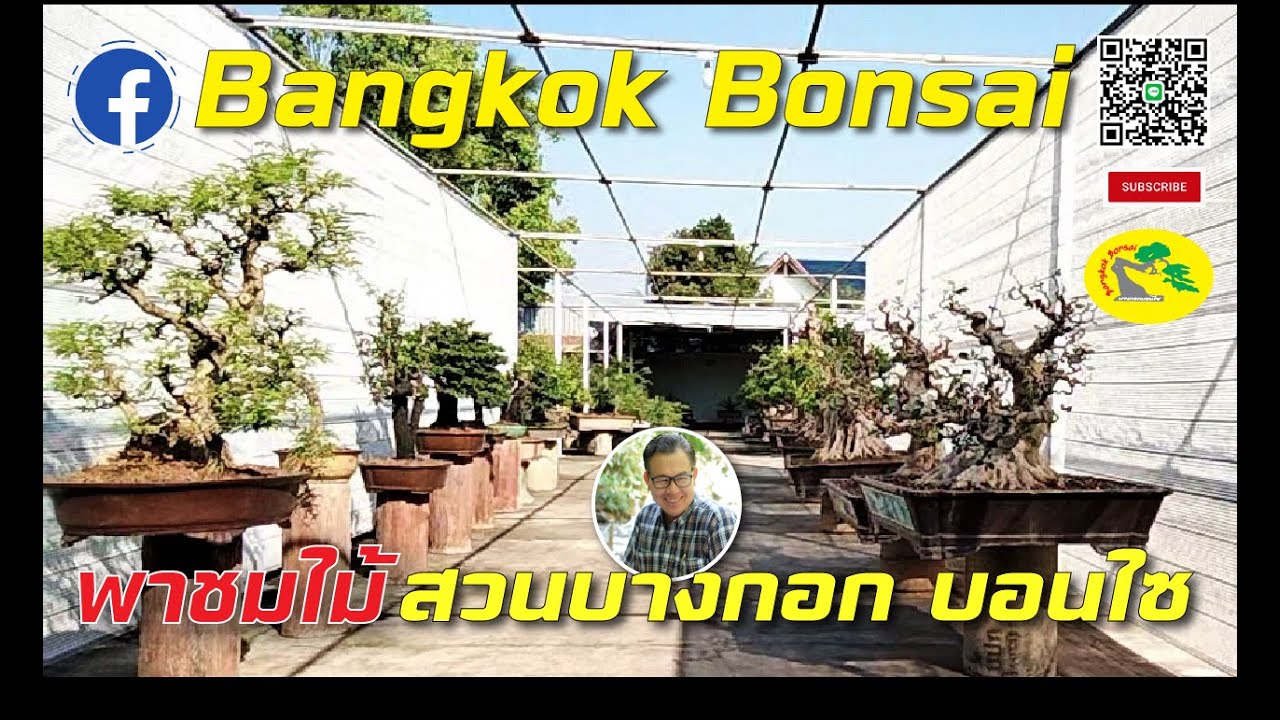 พาชมไม้ สวนบางกอกบอนไซ EP-413