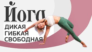картинка: Гибкая, Дикая, Свободная. ТАНЦУЮЩАЯ СОБАКА в йоге!