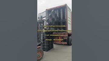 container loading of black plastic pallets.#china #factory #production #pallets #container #loading