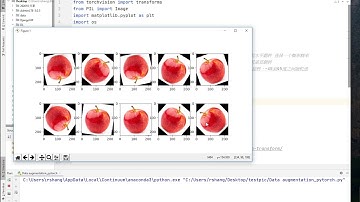 126. Pytorch_Data Augmentation test