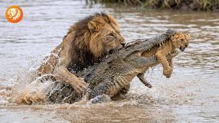 AFRICAN SAVANNAH – Deadliest Battles for Survival Among Predators and Prey | Wildlife Documentary
