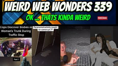 weird web wonders 339