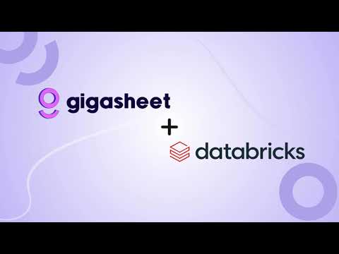 Gigasheet for Databricks Democratizes Data Access for Business Users