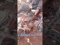 Electric Motor Scrap Business | Copper Ya Aluminum? Complete Guide