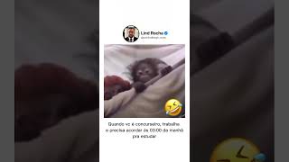 #concurseiro #concurseirodamadrugada #concursopublico #vidadeconcurseiro #concurseiros #concurseira