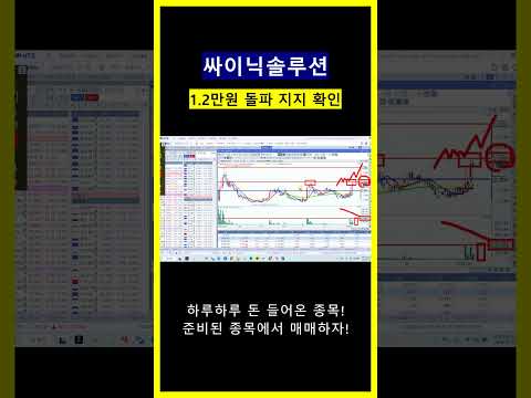 싸이닉솔루션 shorts