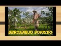 SERTANEJO SOFRIDO****PEÃO DOURADO E MULATO-Comp-Tião do Ouro/João Platino