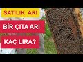 Satlk balars arclk arcla yeni balayacaklar