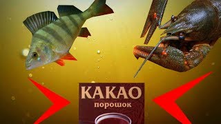 Реакция рыбы на КАКАО! Подводная съемка