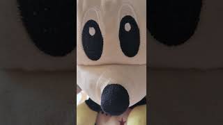 dont touch the turtle