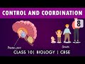 #controlandcoordination  | 10th Biology #CBSE | NCERT class 10 science | Chapter 7 part-8