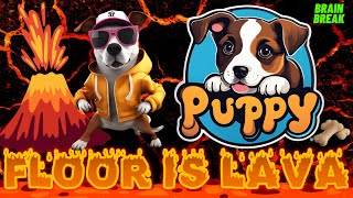Puppy Floor Is Lava Challenge: Kids Exercise & Brain Break Game! | Dance & Move Kids videos for Kids screenshot 1