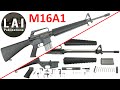 M16a1 assault rifle disassembly  assembly