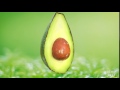 Test Rendering avocado in C4d