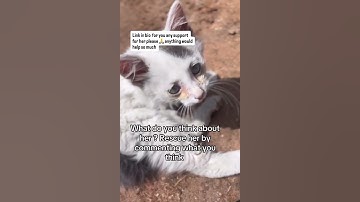 Please Don’t scroll without helping these little souls link in bio and donate anything for help 🙏.