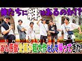 SixTONES【俺たちに絆はあるのか!?inシンガポール】6周年記念祝️超大型企画