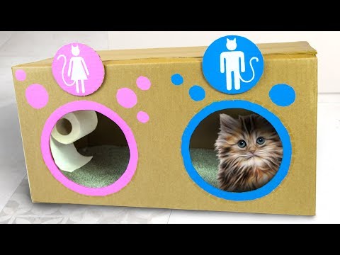 Video: DIY Dog House Ideer For Crafty (Og Ikke-Så-Crafty) Dog Lovers