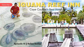 iHAP to Iguana Reef Inn, Caulker's Best Hotel and Playground of Marine Animals