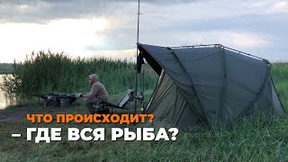 ПОЧЕМУ НЕ КЛЮЕТ? | МЕРТВЫЕ ЗОНЫ | ГДЕ КАРП?