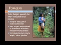 ANTH101 foragers