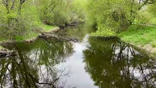 Shingle Creek in Brooklyn Park Minnesota