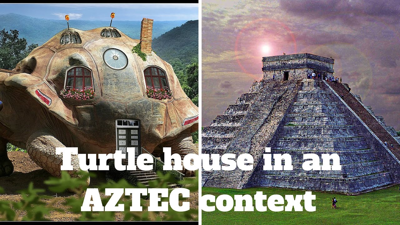 Sustainable Turtle House Design Brief Within An Aztec Context